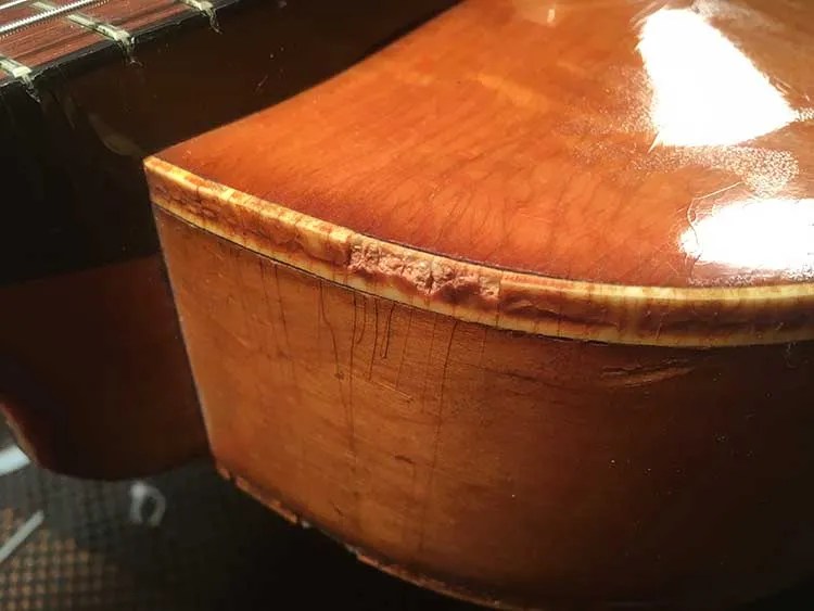 closeup of an acoustic guitar's binding that has deteriorated due to the aging and chemical breakdown process known as celluloid rot