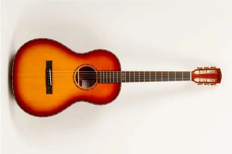 Bedell Revolution parlor guitar