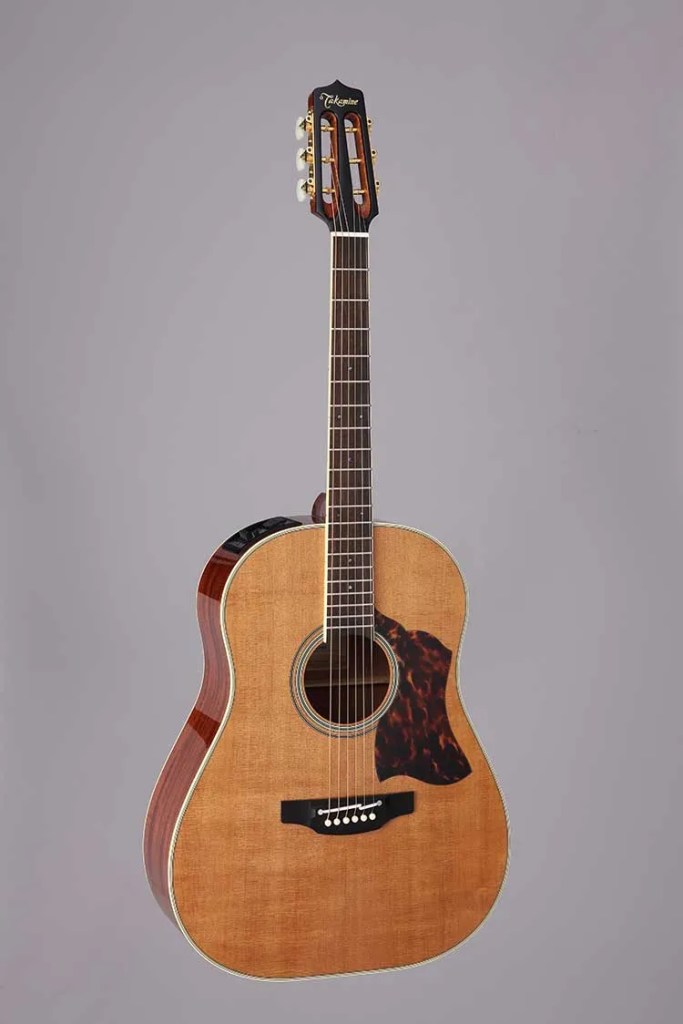 Takamine CRN-TS1 front