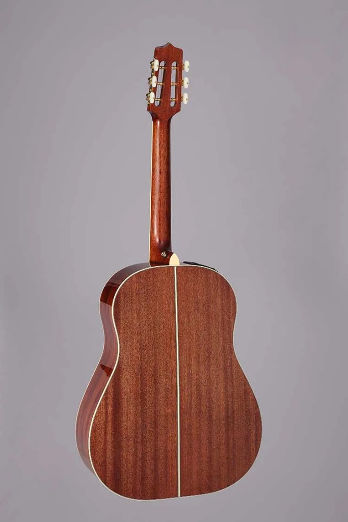 Takamine CRN-TS1 back