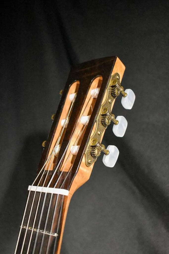 Hill Guitar Company Companion headstock