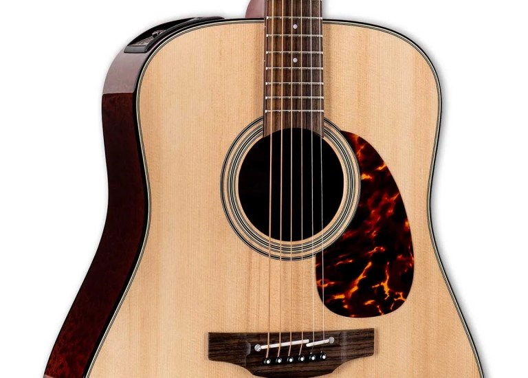 The FT340 BS model, Courtesy of Takamine Guitars