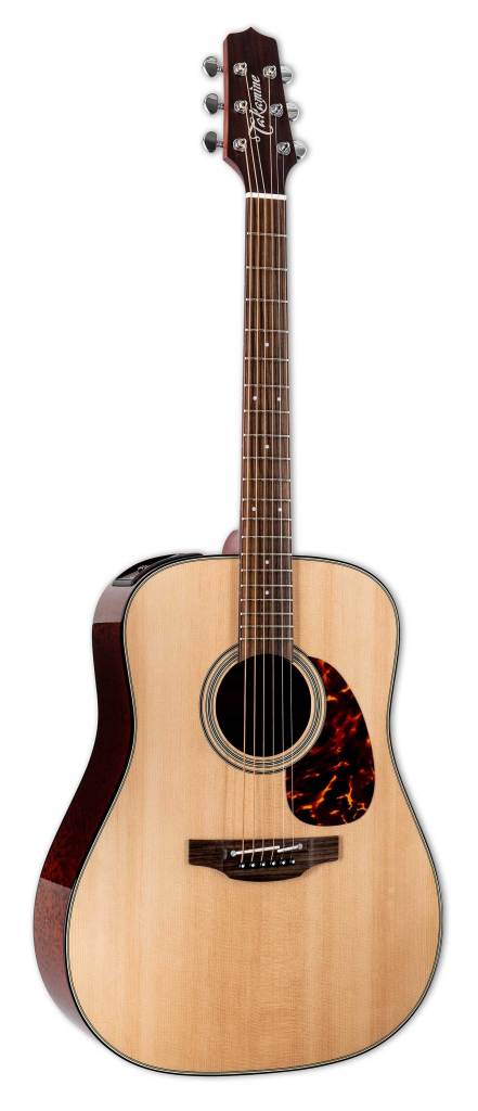 Takamine FT340 BS front