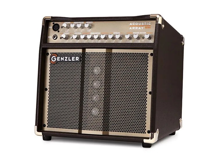 Genzler Acoustic Array Mini acoustic guiar amplifier.