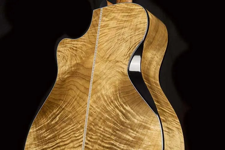 Cort Gold-Edge acoustic guitar flamed myrtlewood back and sides and triple bevel cut