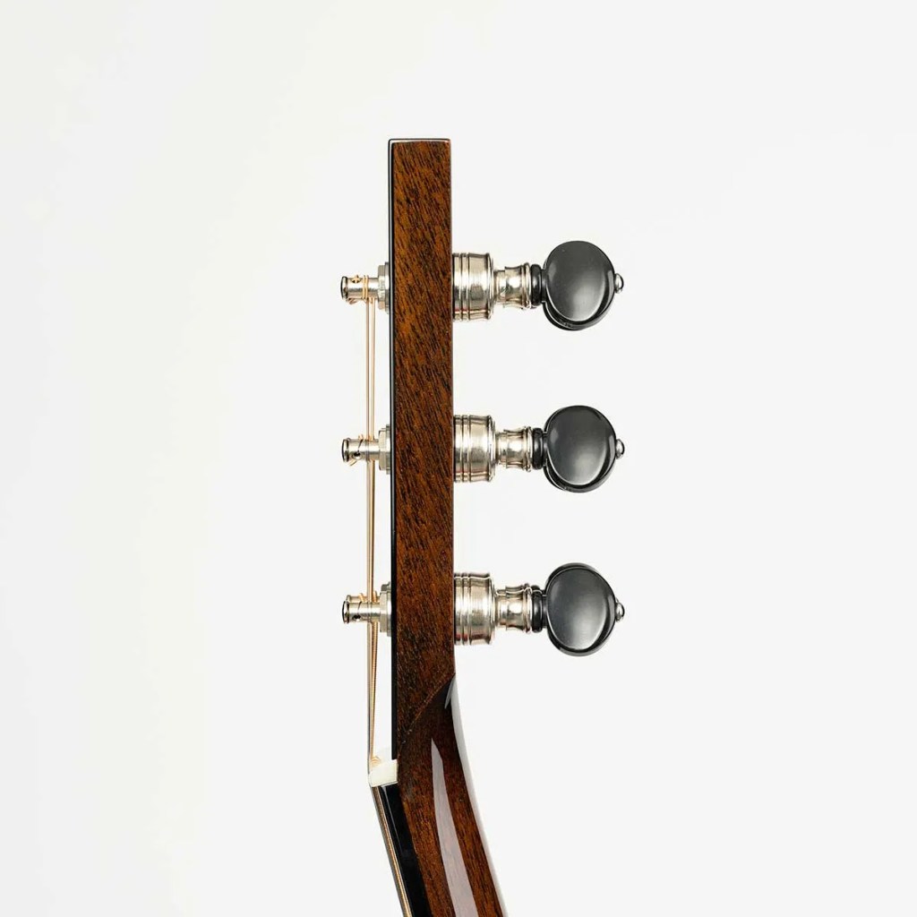 Collings custom OM1A with banjo tuners