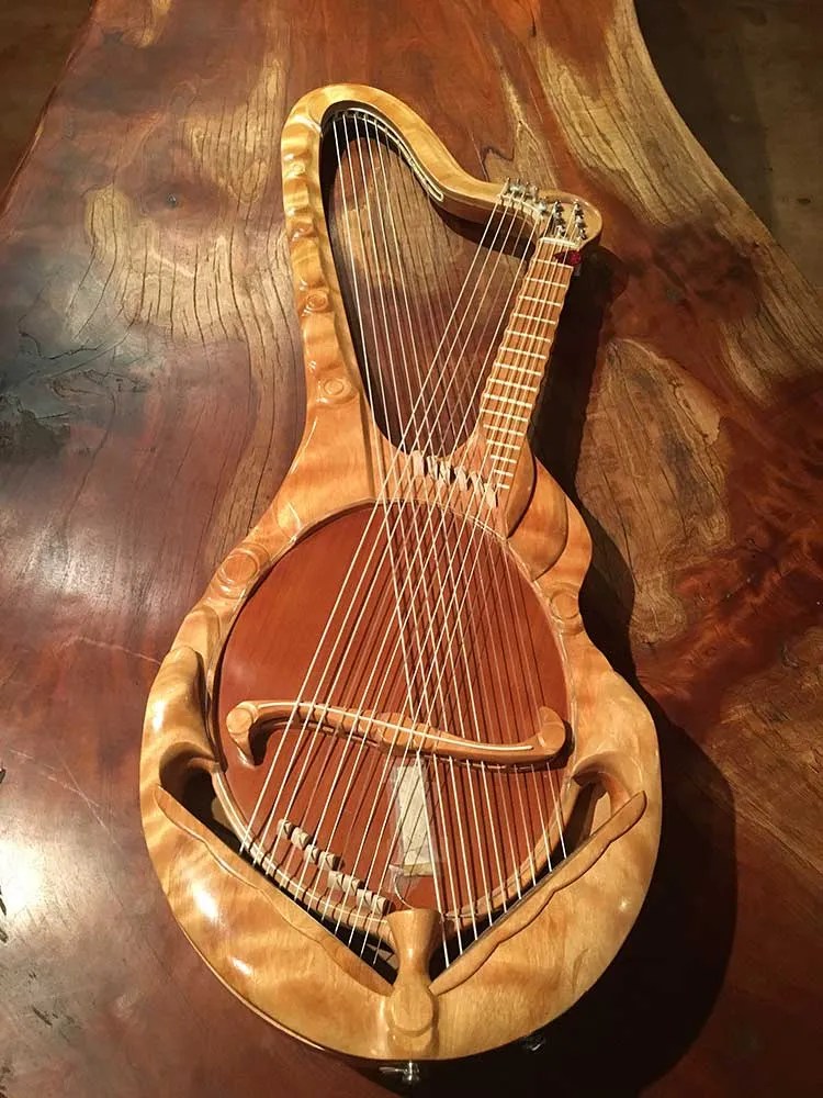 William Eaton koto harp guitar front