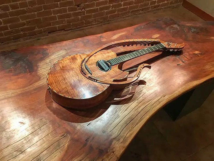 William Eaton lyraharp guitar front