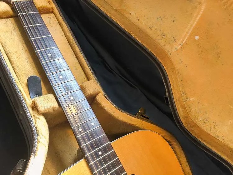 open guitar case showing mold and mildew on the plush interior