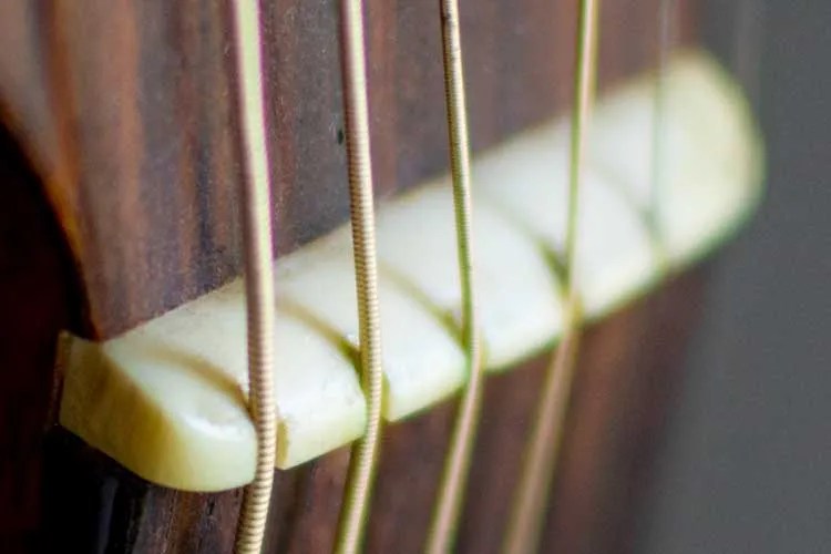 closeup of an acoustic guitar's nut