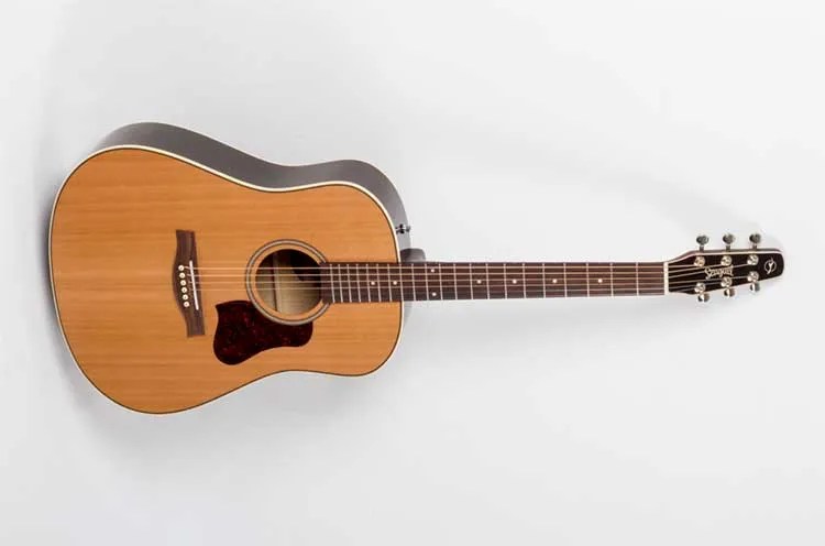 Seagull Coastline Momentum acoustic guitar