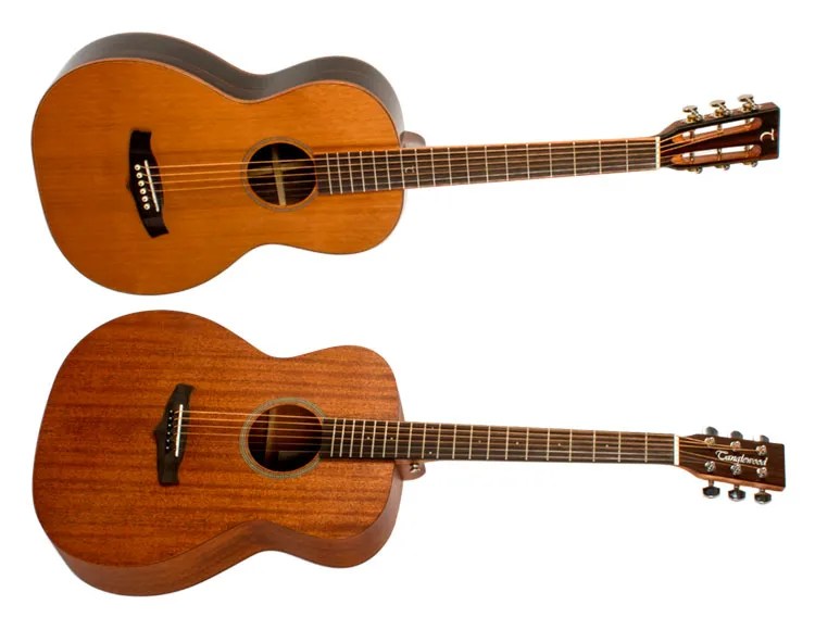 Tanglewood Java Parlor and Winterleaf Orchestra Model acoustic guitars.