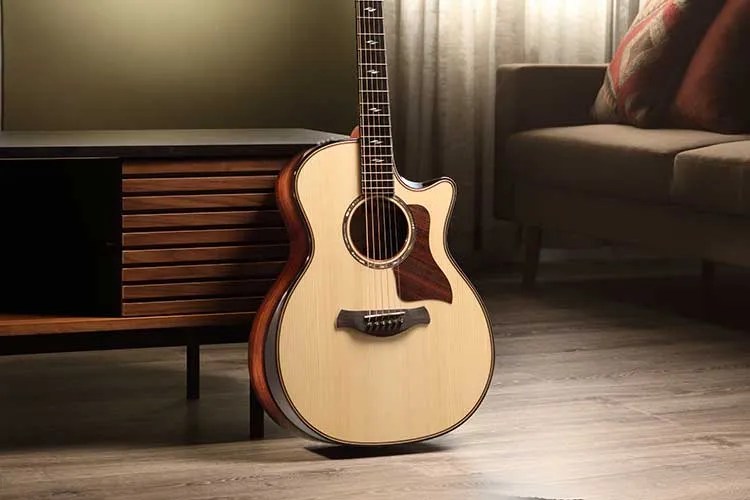 Taylor Builder's Edition 814ce acoustic guitar