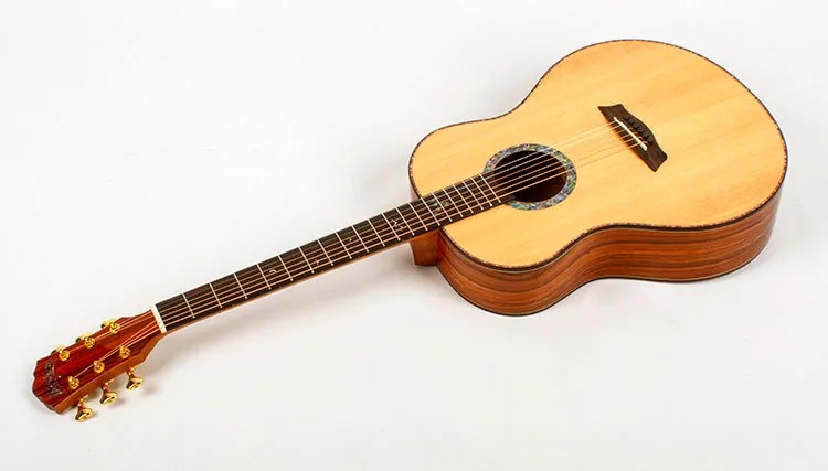 Washburn's Bella Tono Elegante S24S