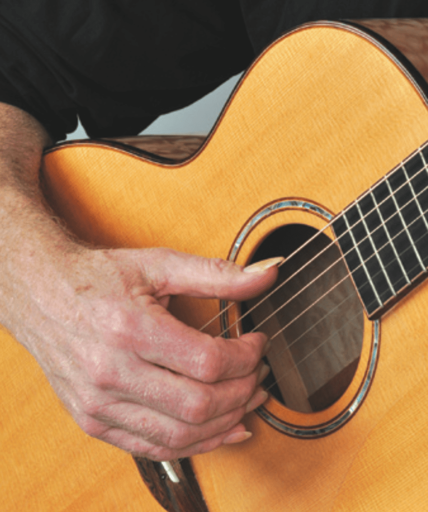 Alex de grassi fingerstyle